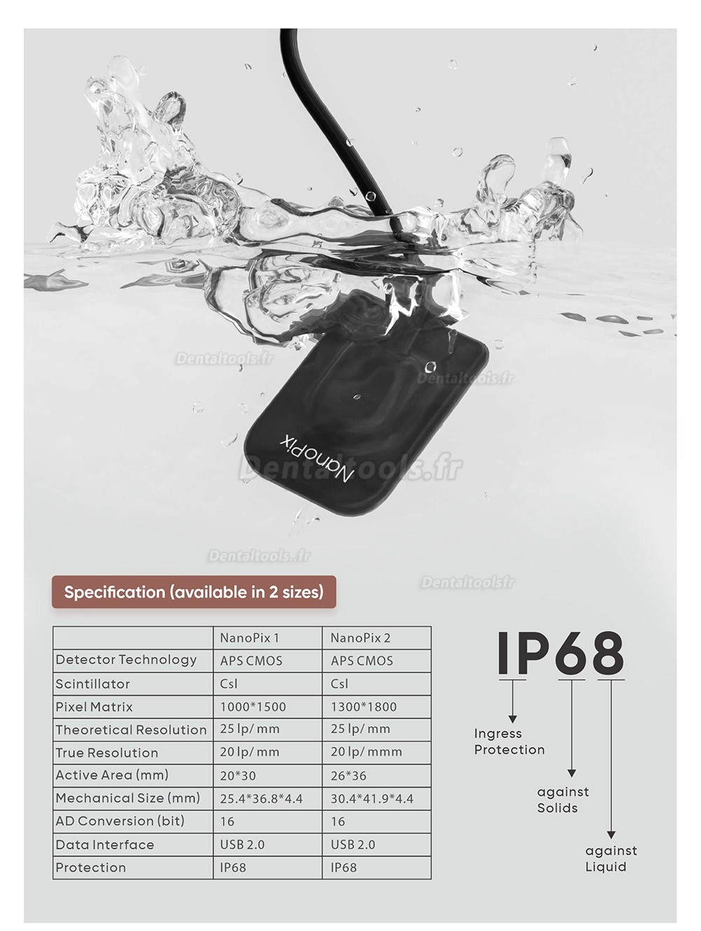 Eighteeth Nanopix Capteur RVG à rayons X intra-oral dentaire numérique